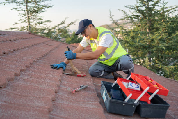 Best Sealant for Roof  in Woodall, OK